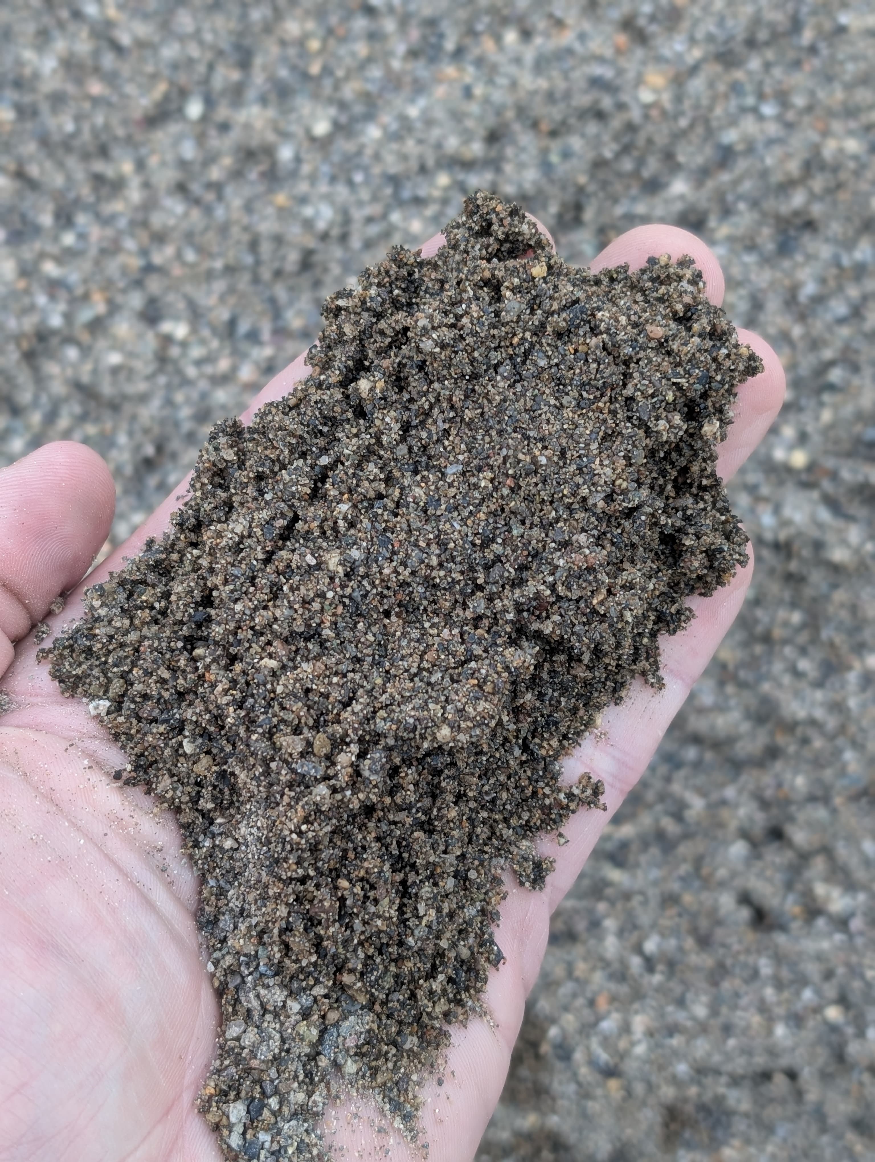 Coarse Washed Concrete Sand