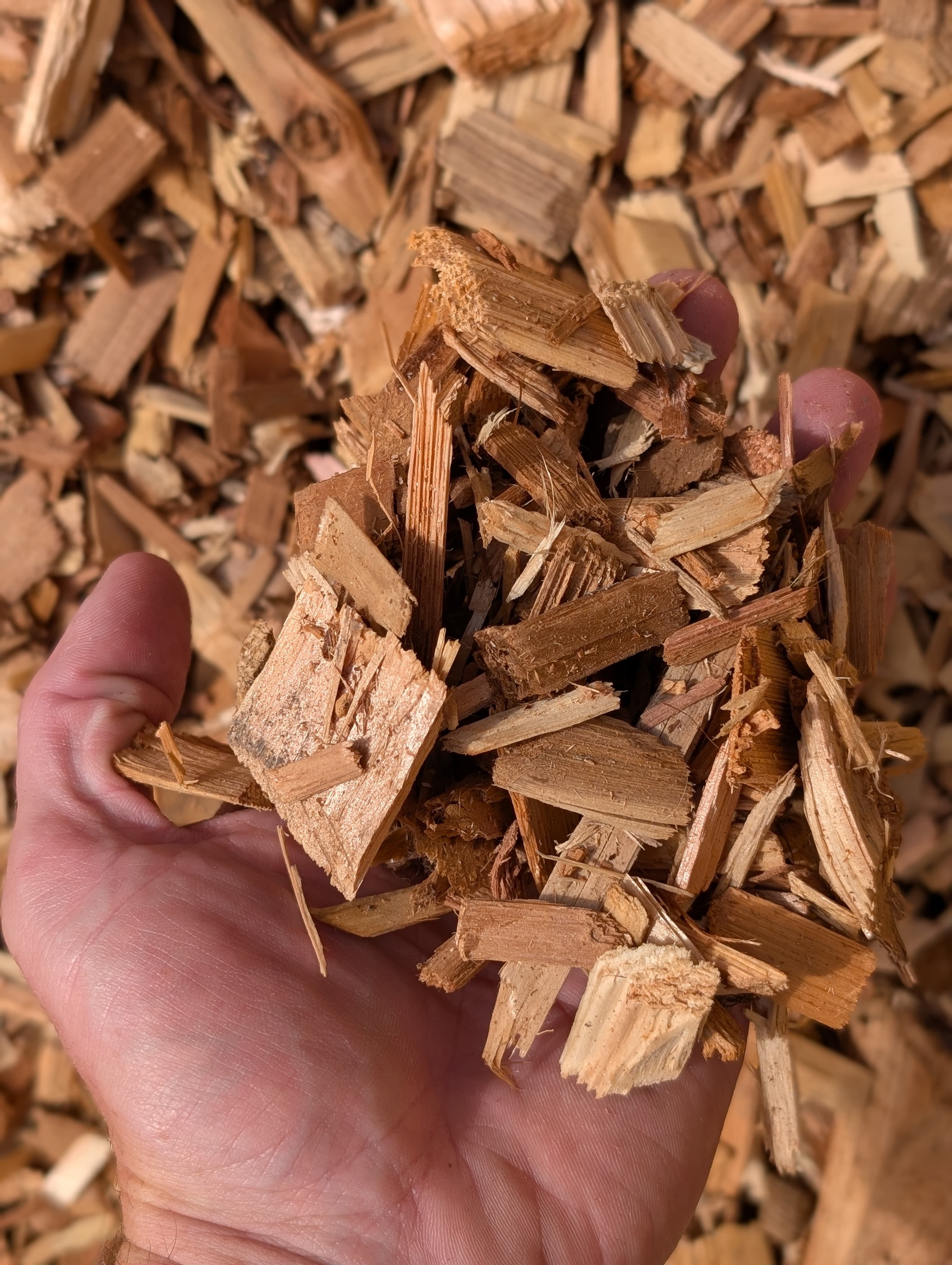 Western Red Cedar Chips