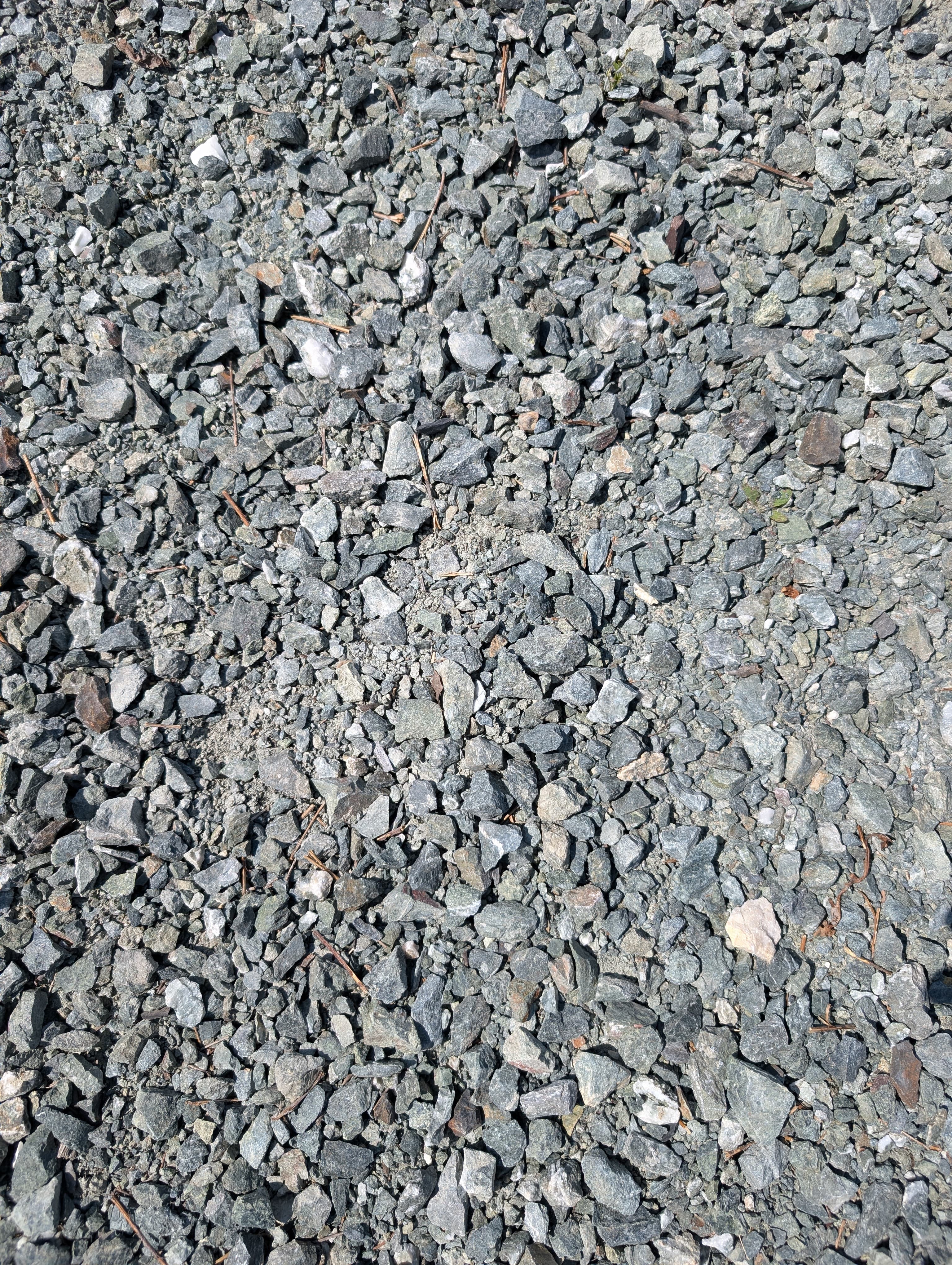 Green/Blue Driveway