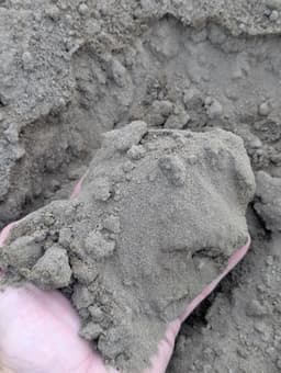 Sandy Loam Lawn Soil