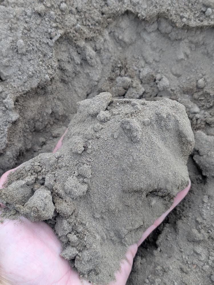 Sandy Loam Lawn Soil — Up close
