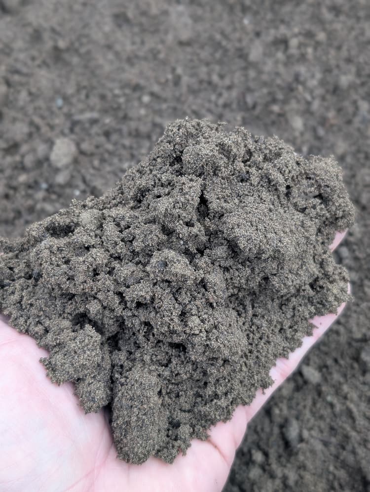 Lawn Soil Mix (50/50) — Up close