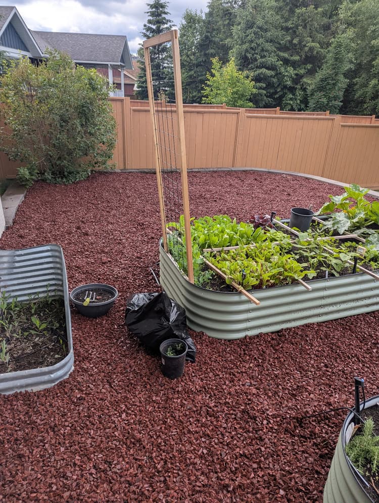 Red Rubber Mulch Nuggets — Finished on a project