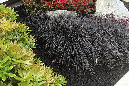 Black Lava Rock — Finished on a project