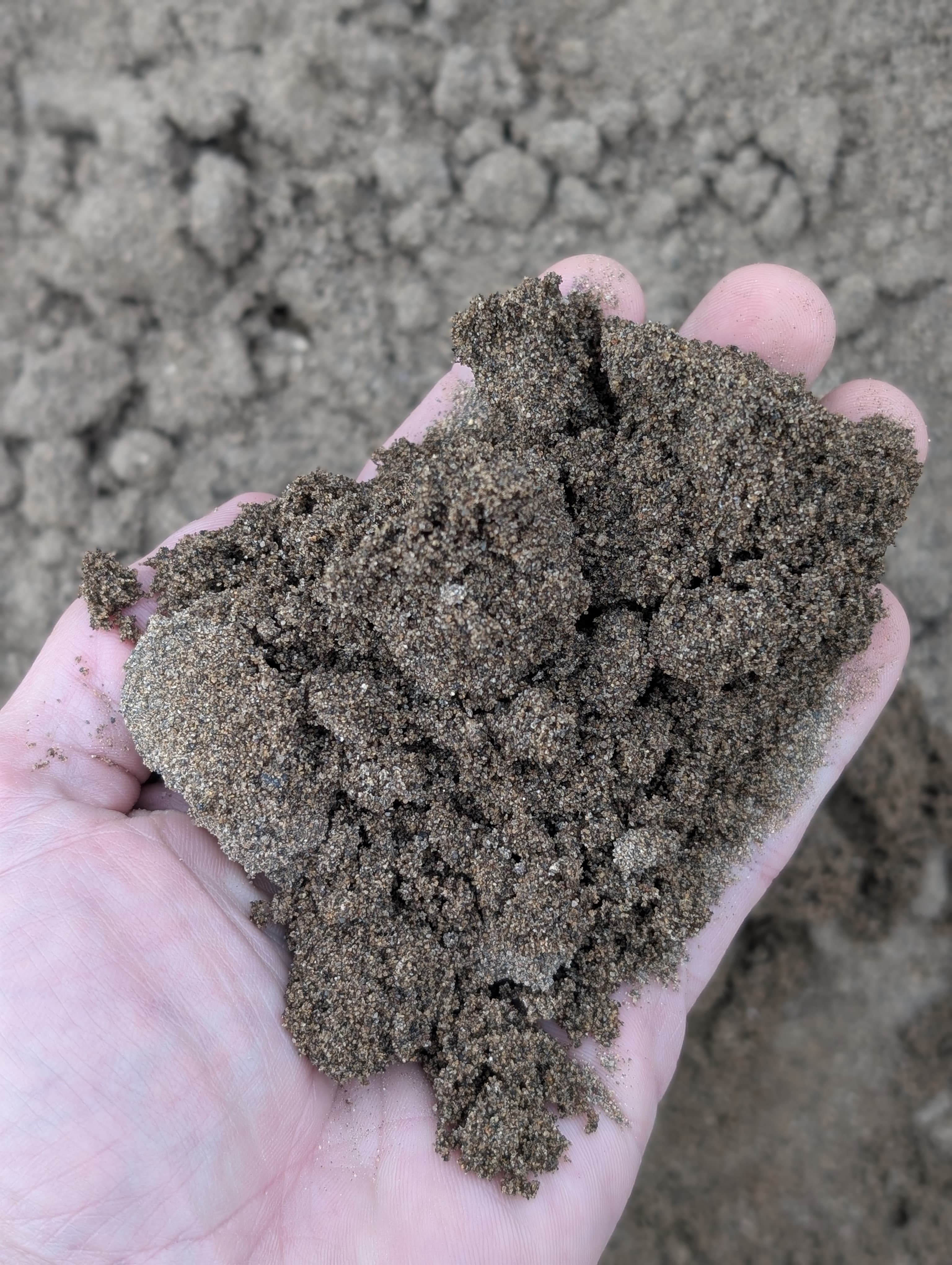 Natural Sandbox Sand