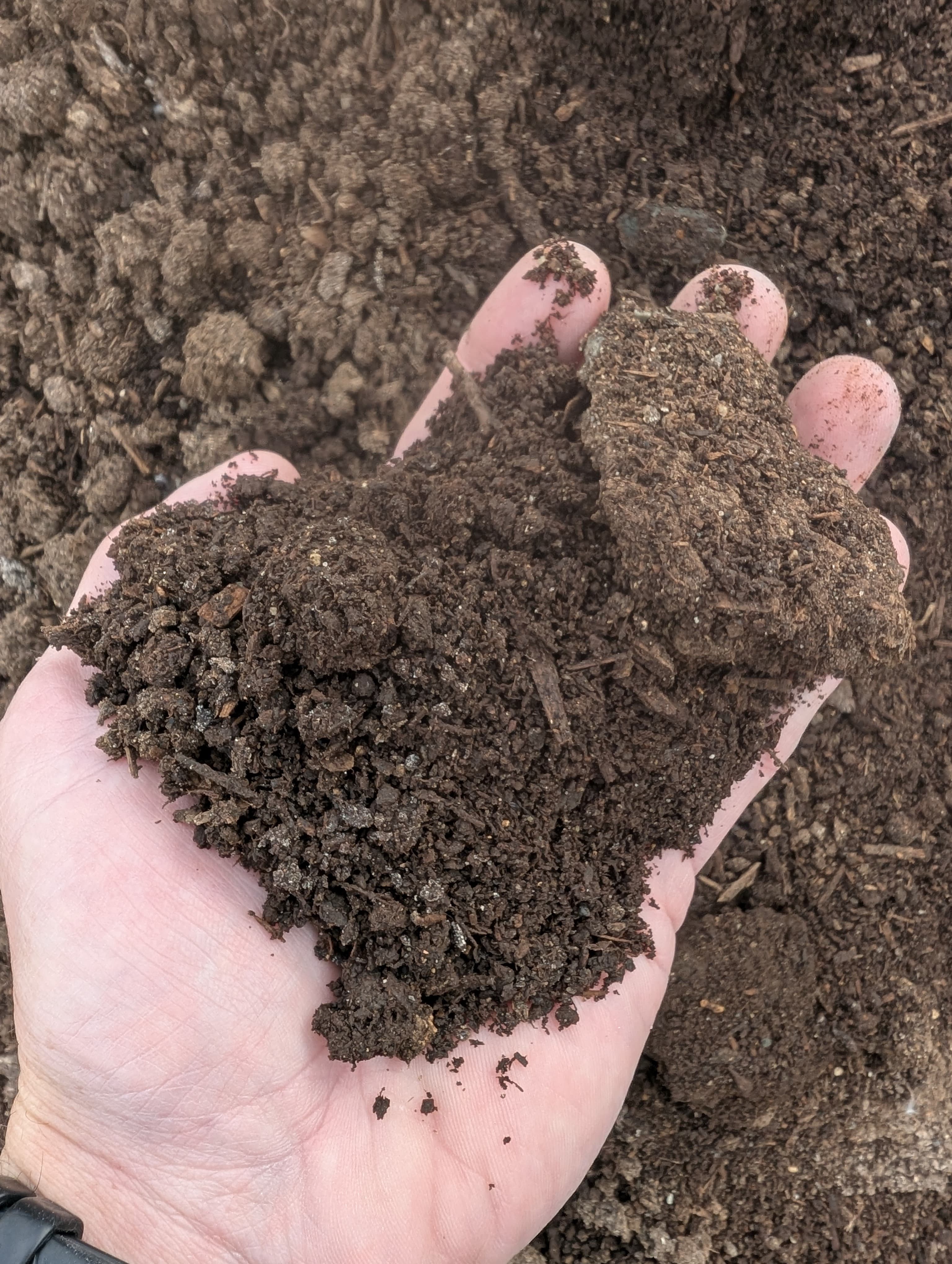 Mushroom Manure