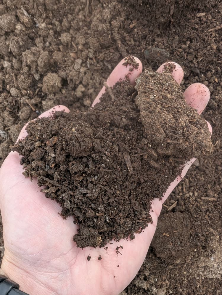 Mushroom Manure — Up close